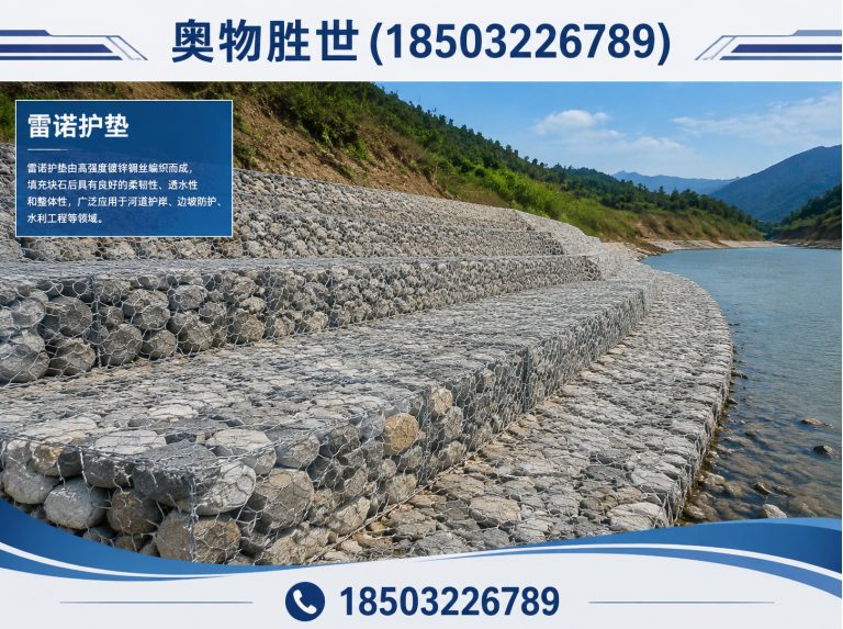 泰州奥物胜世展示图